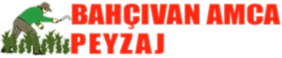 logo-aa